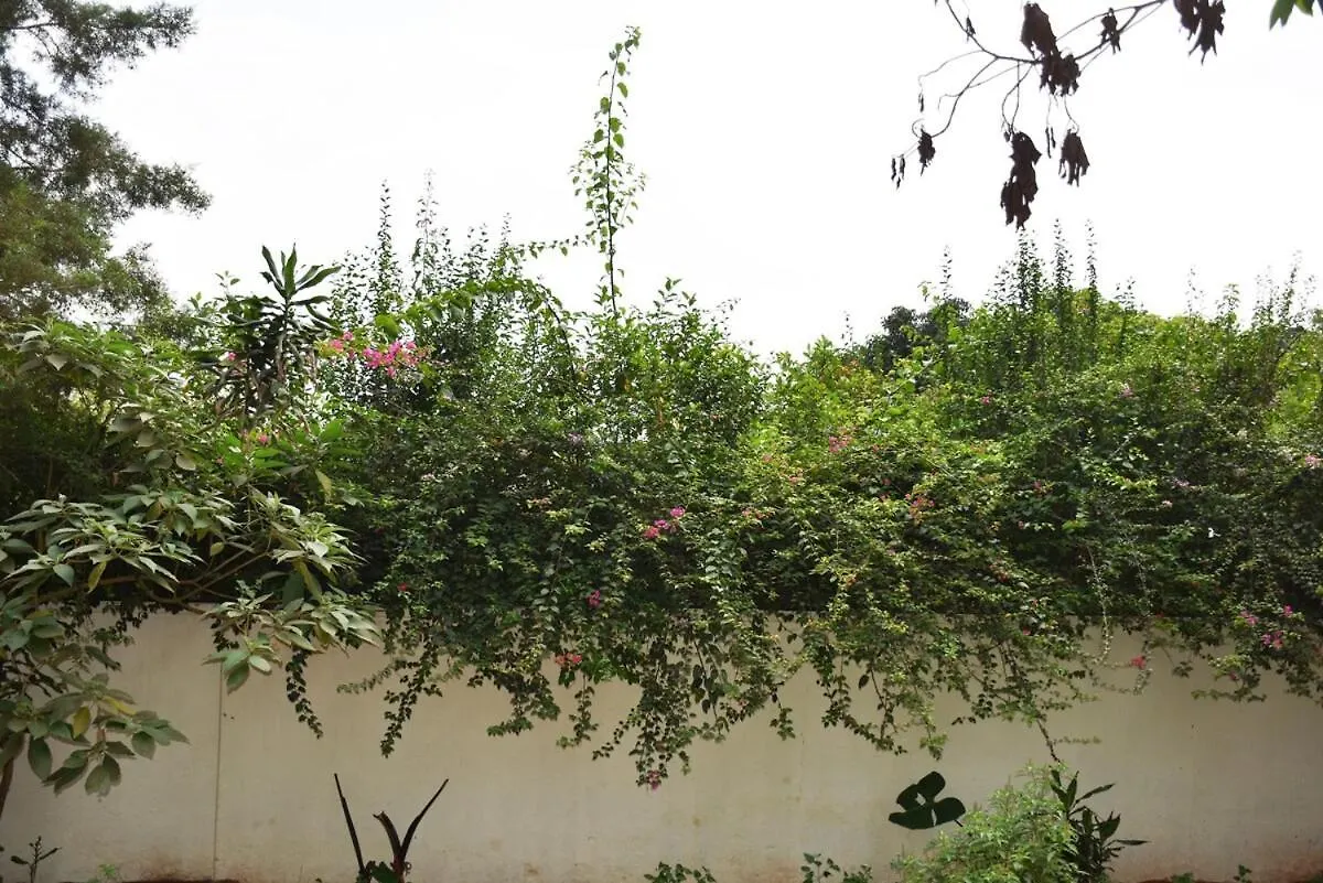 Carmella Exquisite Home Wh Kampala Uganda