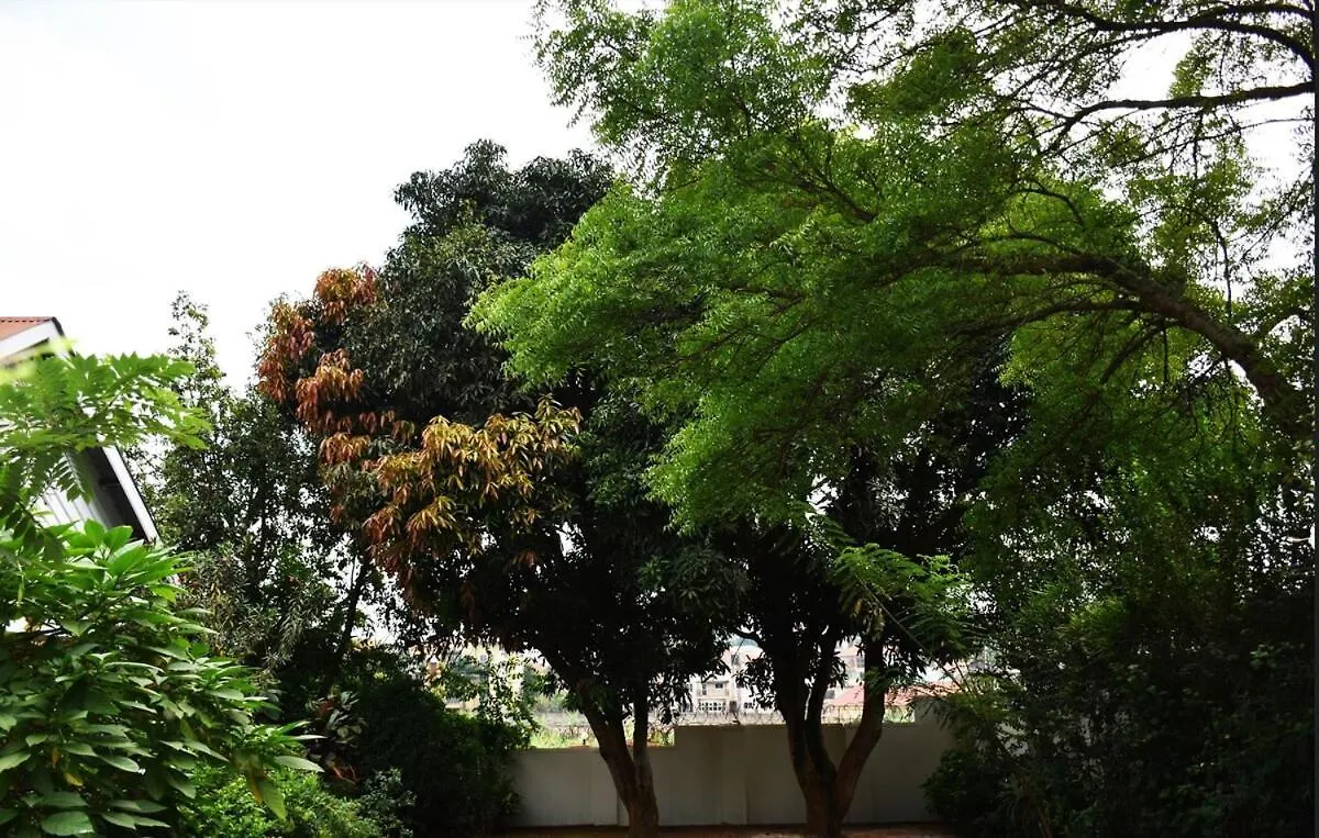 Carmella Exquisite Home Wh Kampala Uganda