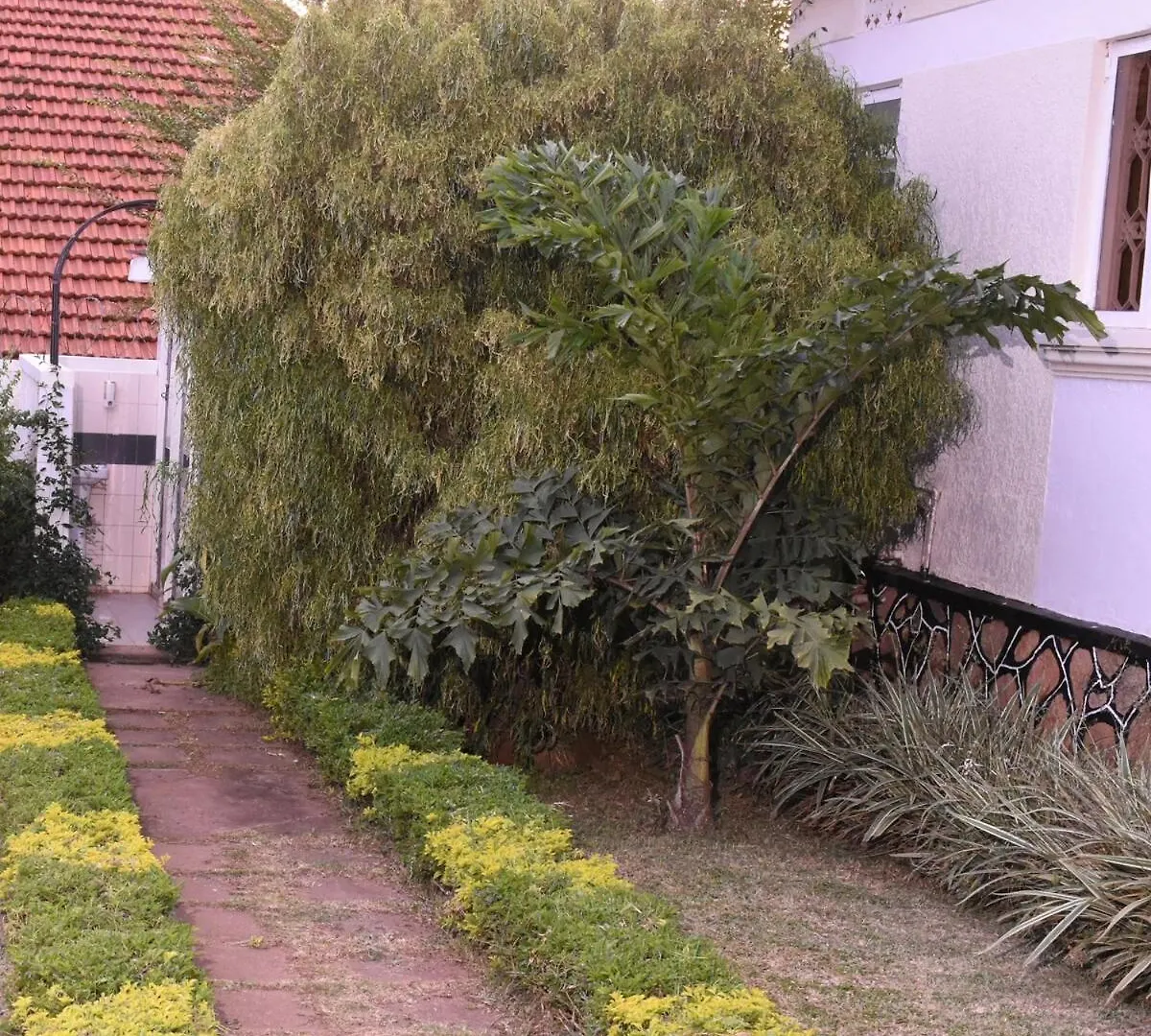 Carmella Exquisite Home Wh Kampala Uganda